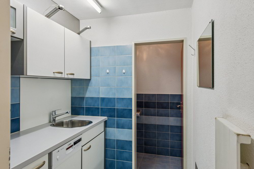 null rooms Office & Commercial for rent in Bremgarten AG - image 1/13