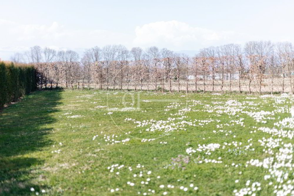 Appartamento di 5 locali in vendita a Presinge - immagine 1/8