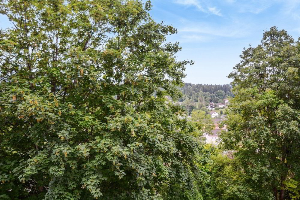 Wohnung – Le Locle - Ansicht 3