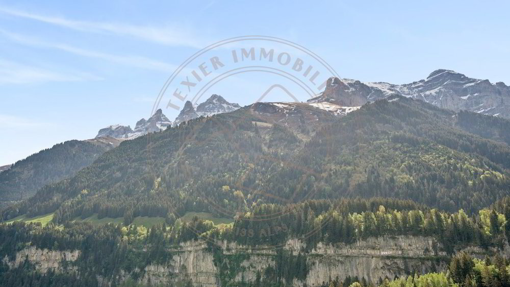 15 rooms House to buy in Champéry - image 1/10