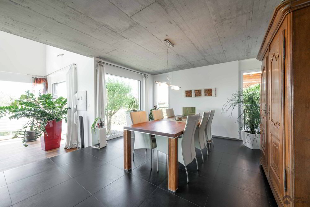 Haus – Riken AG - Ansicht 5