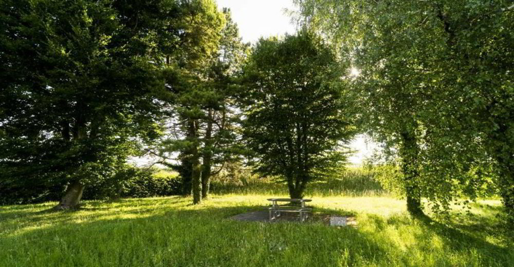 Local commercial en location à Montagny-près-Yverdon - 960 m² - Ansicht 5