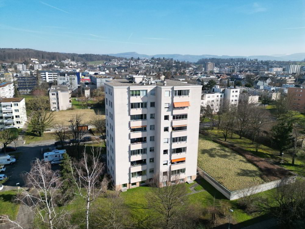4 rooms Apartment to buy in Therwil - image 1/20