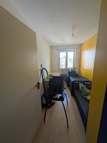 Appartamento di 4.5 locali in affitto a Düdingen - immagine 1/13
