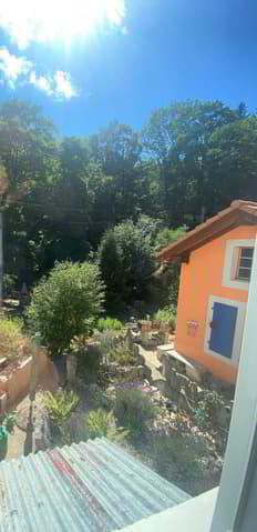 5.5 Zimmer Wohnung zu vermieten in Couvet - Bild 1/13