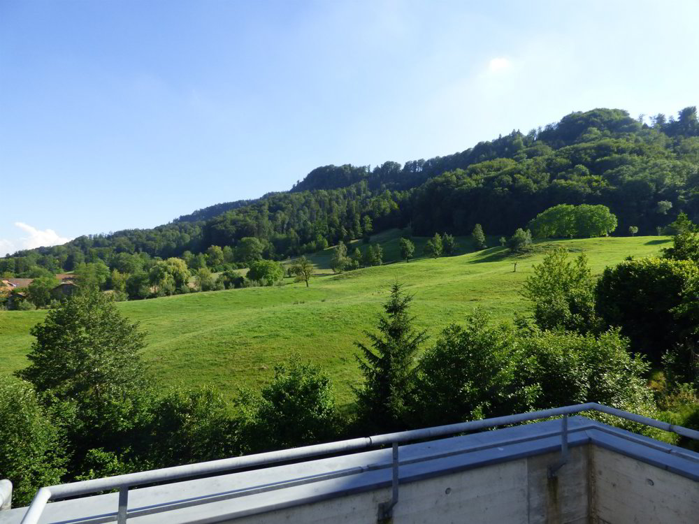 Appartement 4 pièces à louer à Zürich - image 1/7