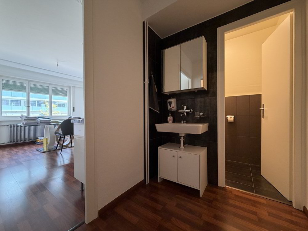 null rooms Office & Commercial for rent in Nyon - image 1/6