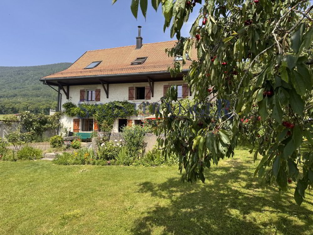 Haus – Mollens VD - Ansicht 2