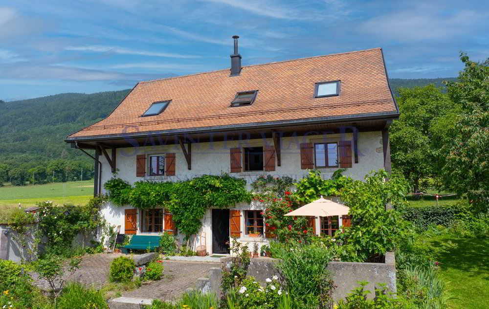 Haus – Mollens VD - Ansicht 4