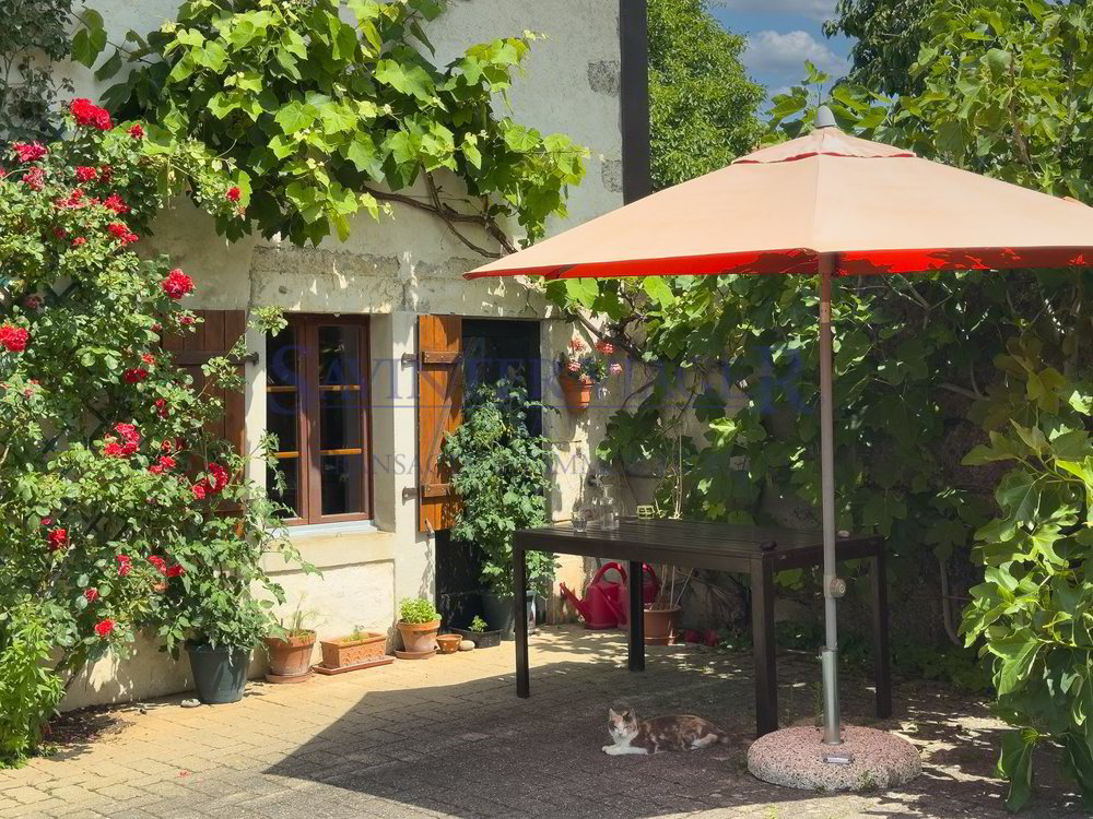 Haus – Mollens VD - Mehr
