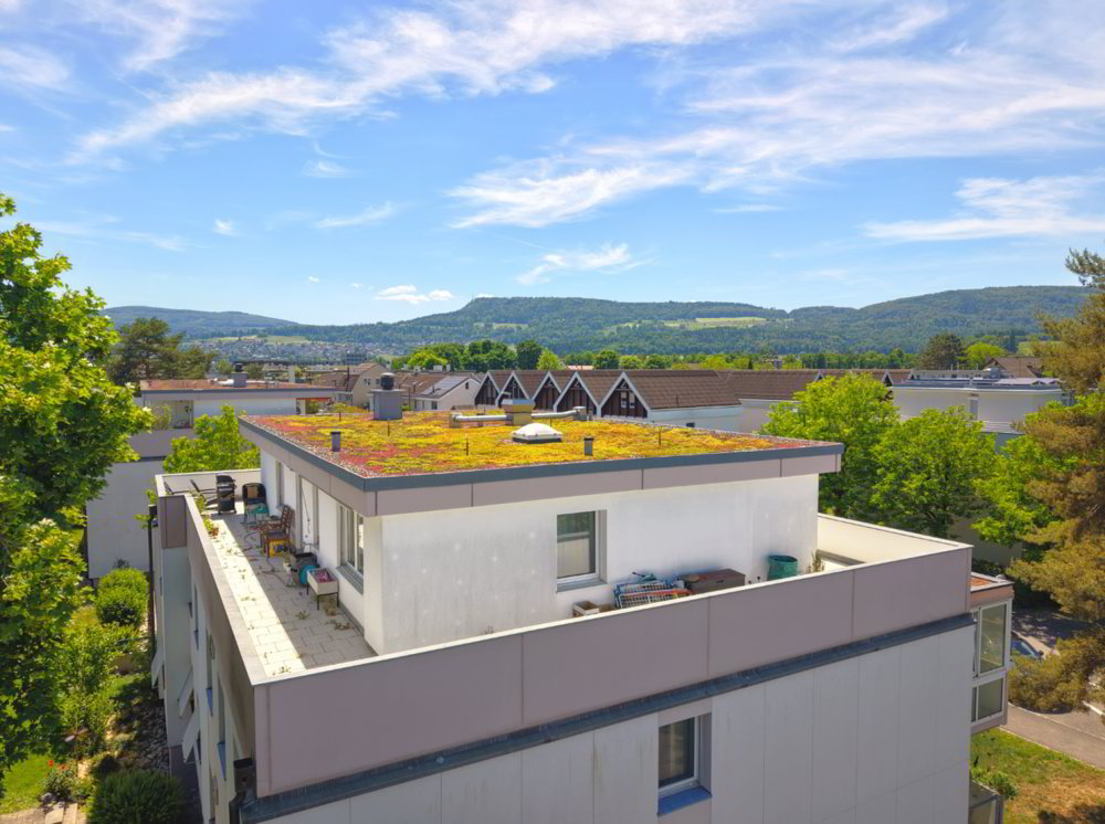 4.5 rooms Apartment to buy in Reinach BL - image 1/11
