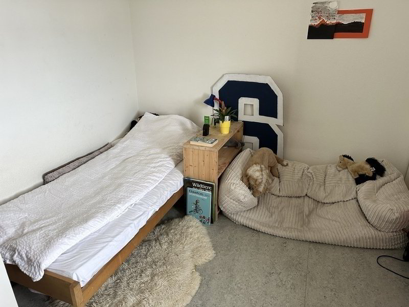 Appartamento di 3 locali in affitto a Zürich - immagine 1/6
