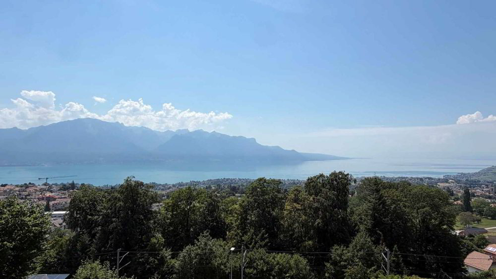Terreno di null locali in vendita a Blonay - immagine 1/2