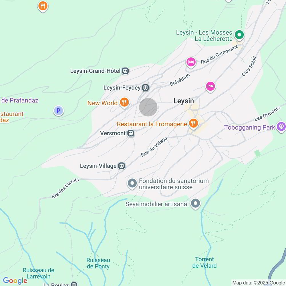2 rooms Apartment to buy in Leysin - image 1/10