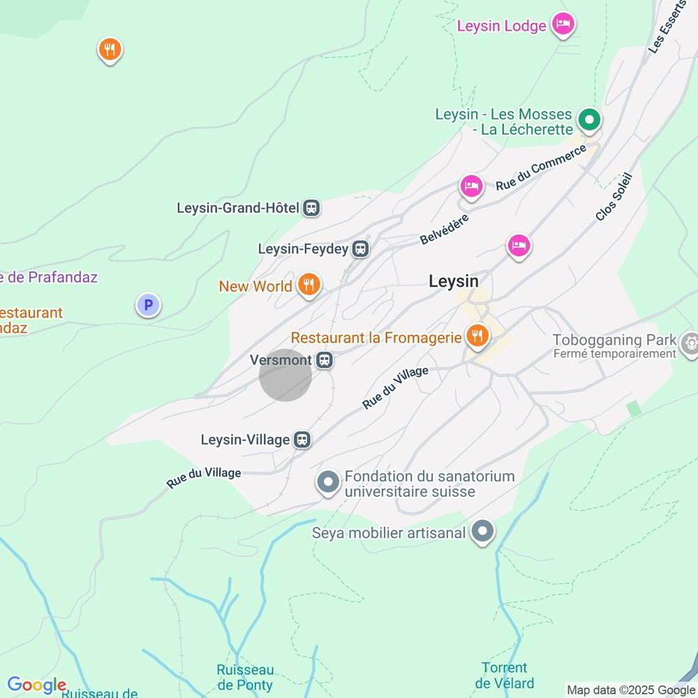 2 rooms Apartment to buy in Leysin - image 1/9
