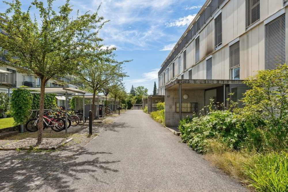 Wohnung – Zollikofen, Unterzollikofen, Verwaltungskreis Bern-Mittelland - Ansicht 3