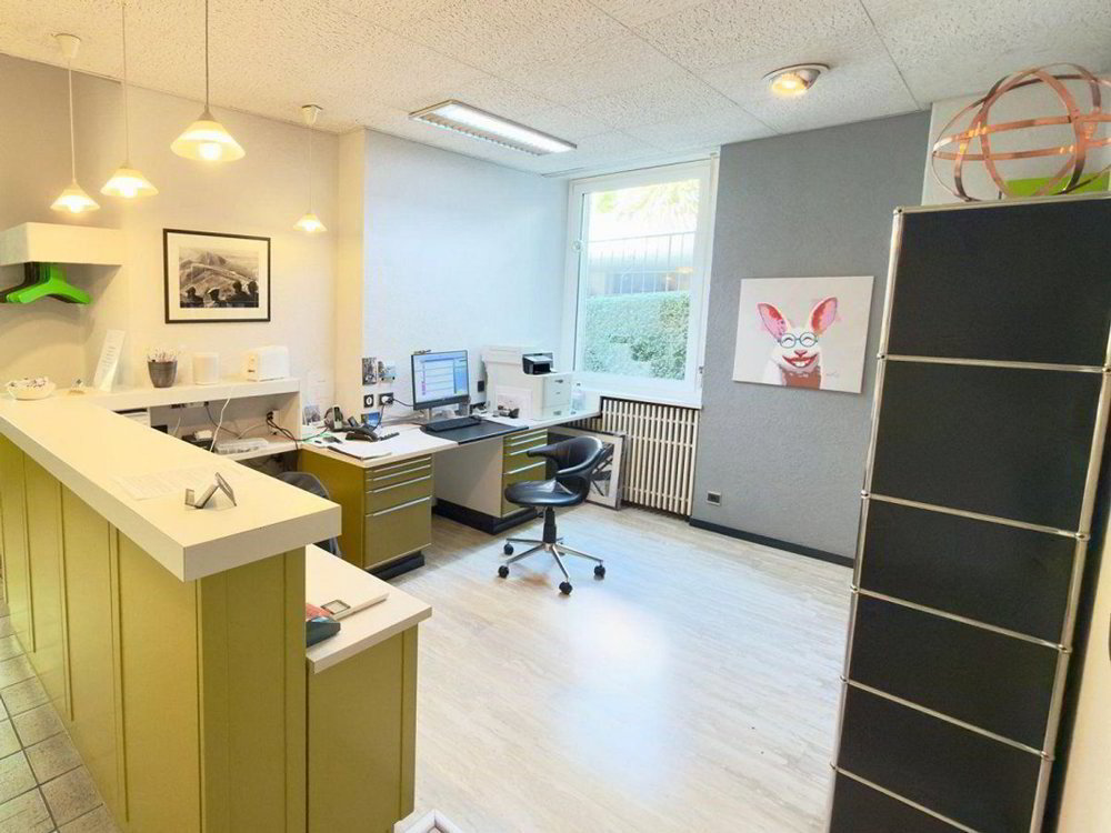 Local commercial de 6.5 pièces en vente à Muralto - 110 m² - Ansicht 4