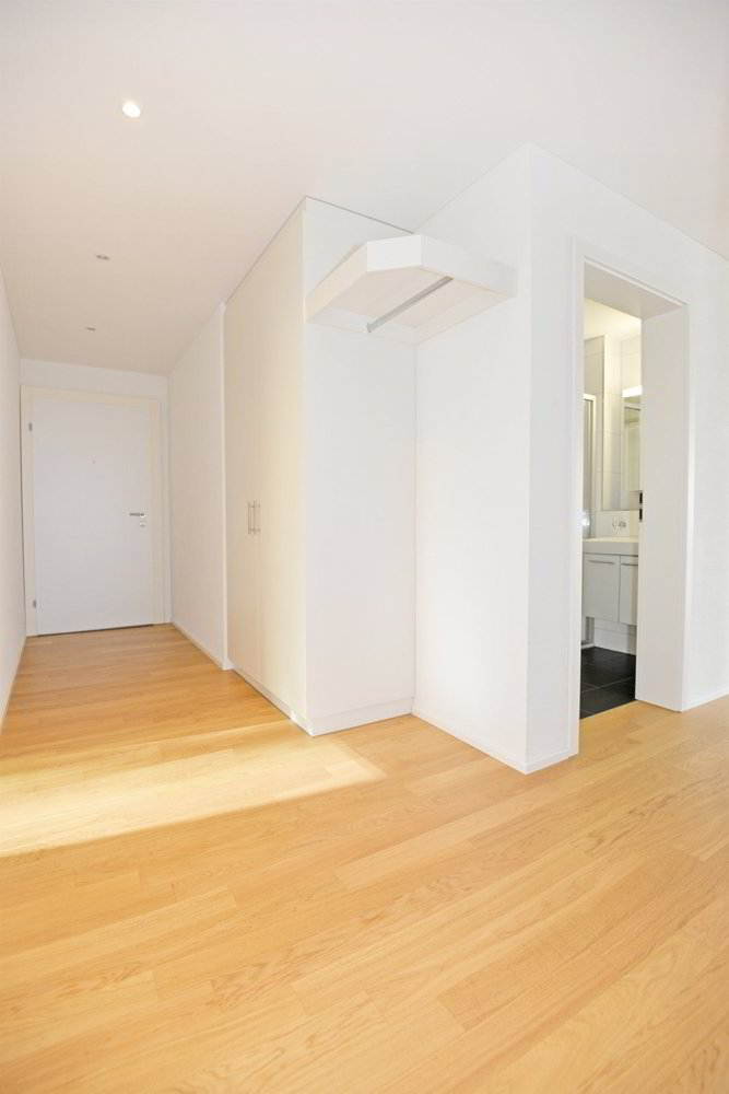 Wohnung – Goldau - Mehr