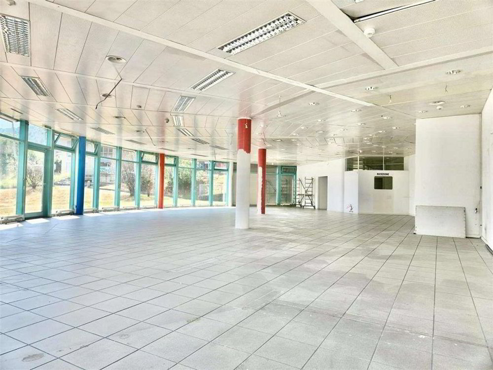 4.5 rooms Office & Commercial for rent in Manno - image 1/13