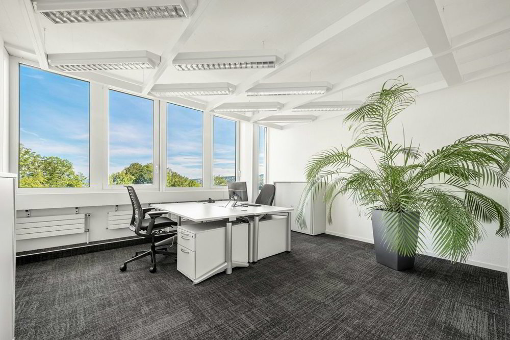 Bureau en location à Horgen - 340 m² - Ansicht 3