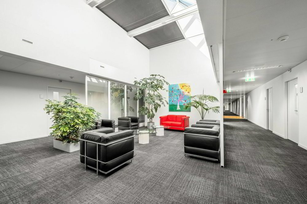 Bureau en location à Horgen - 340 m² - Ansicht 4