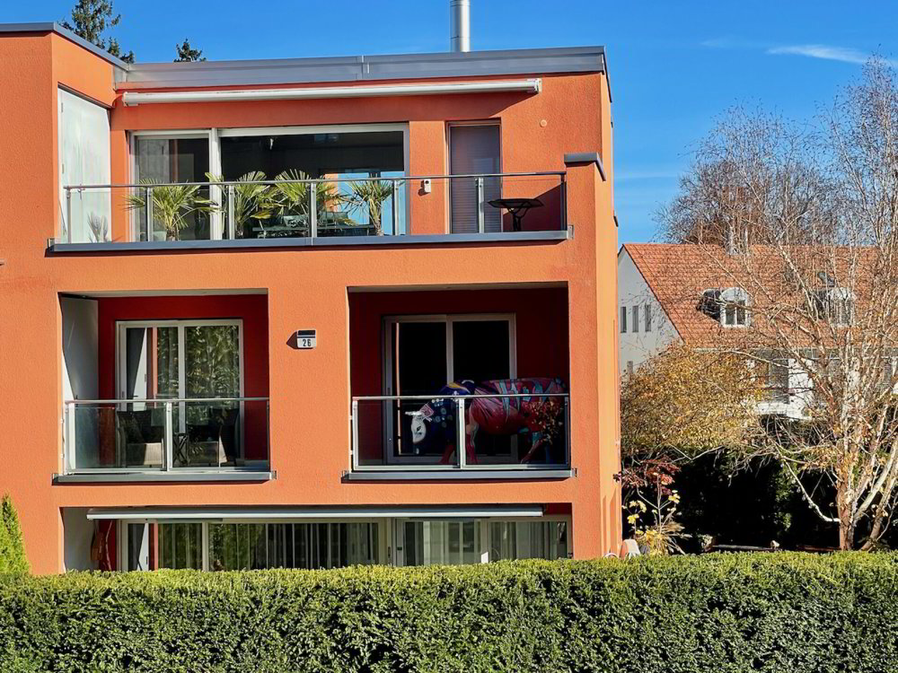 5.5 rooms House to buy in Wädenswil - image 1/20