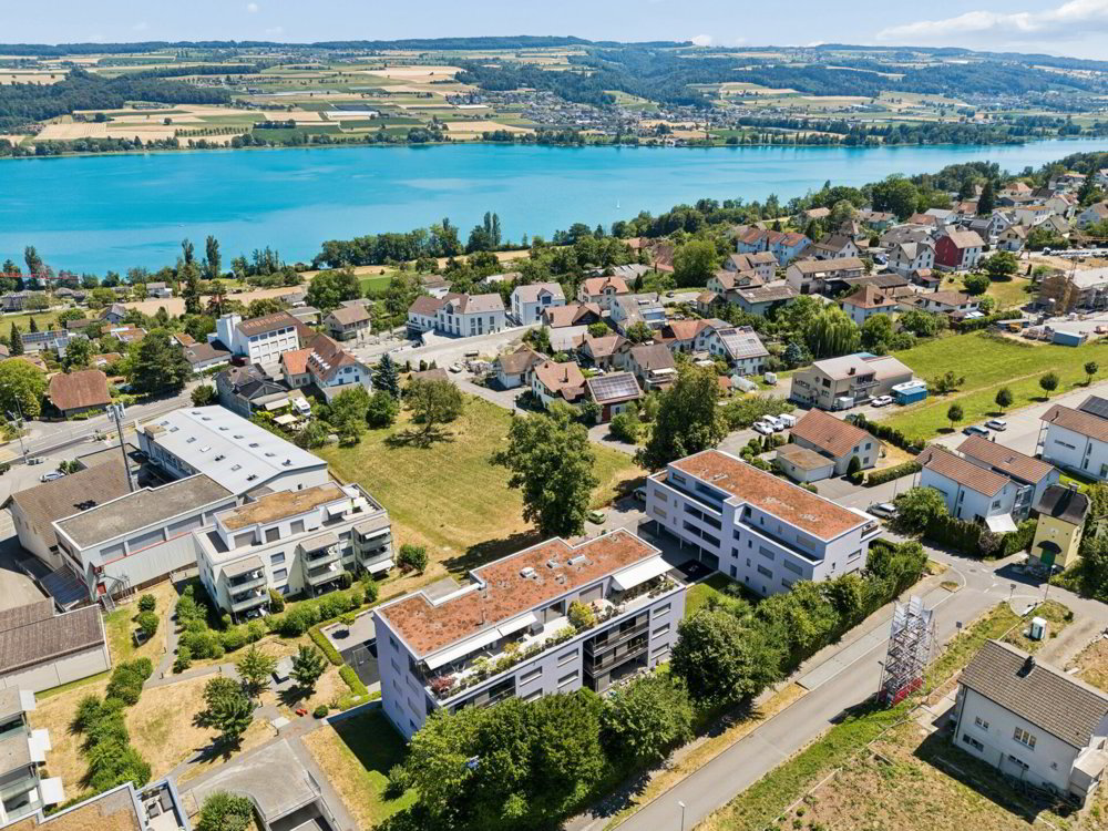 4.5 rooms Apartment to buy in Beinwil am See - image 1/20