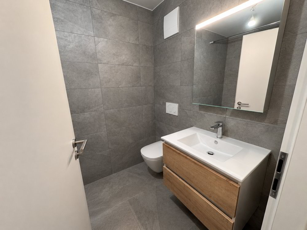 Wohnung – Gryon, District d'Aigle - Ansicht 2