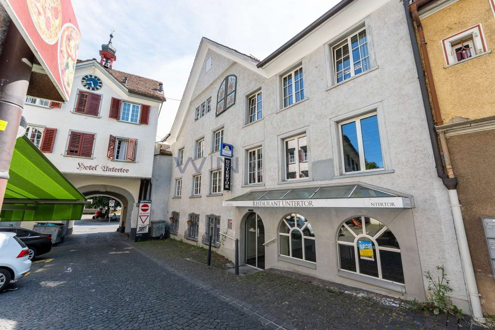 Maison 11 pièces à acheter à Altstätten SG - image 1/6