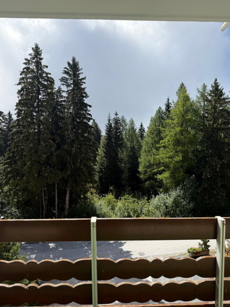 Wohnung – Crans-Montana - Mehr