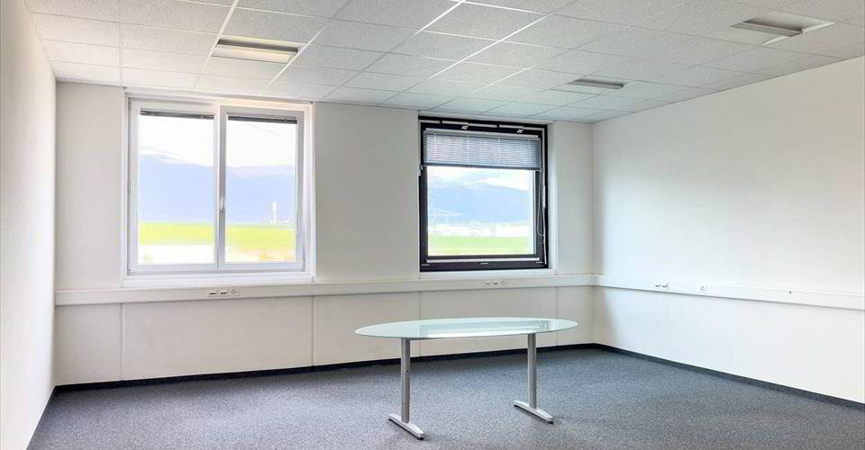 Bureaux, locaux administratifs de 373 m² à louer à Satigny - Mehr