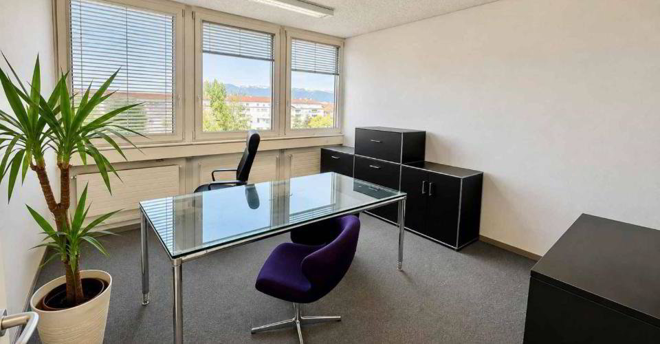 Bureaux dans le quartier Malagnou-Florissant - Mehr