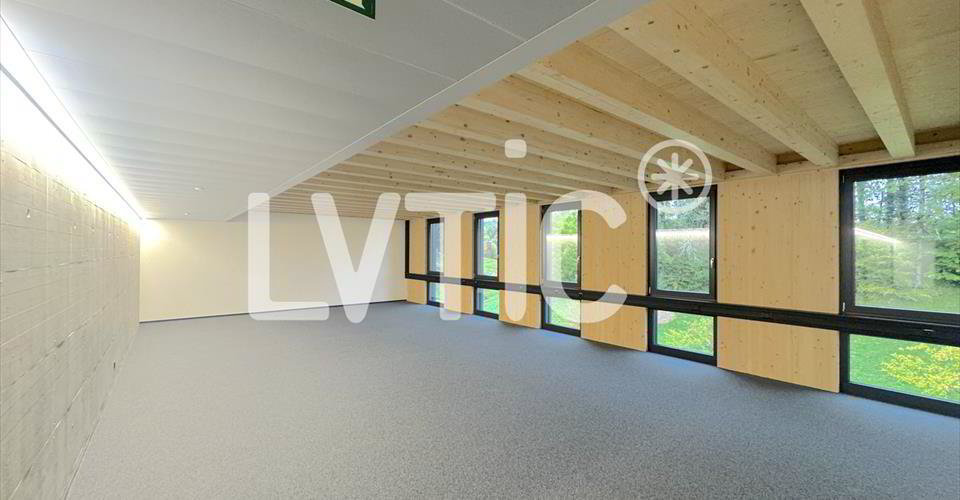 Ufficio & Commercio di null locali in affitto a Châtel-St-Denis - immagine 1/10