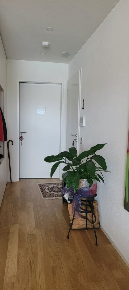 2 rooms Apartment for rent in Bern - image 1/7