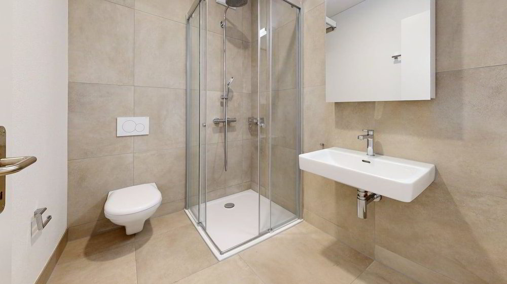 1 rooms Apartment for rent in Aesch BL - image 1/4