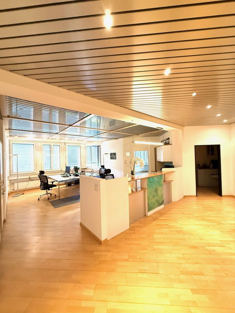 Ihr neuer Business-Standort im Herzen von Cham - Ansicht 5