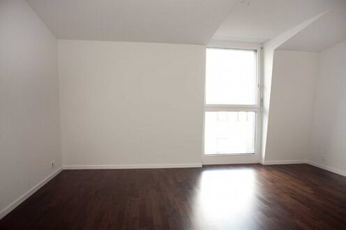 Wohnung – Allschwil - Ansicht 4