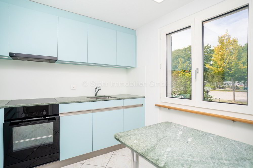 4.5 rooms House to buy in Winterthour - image 1/23