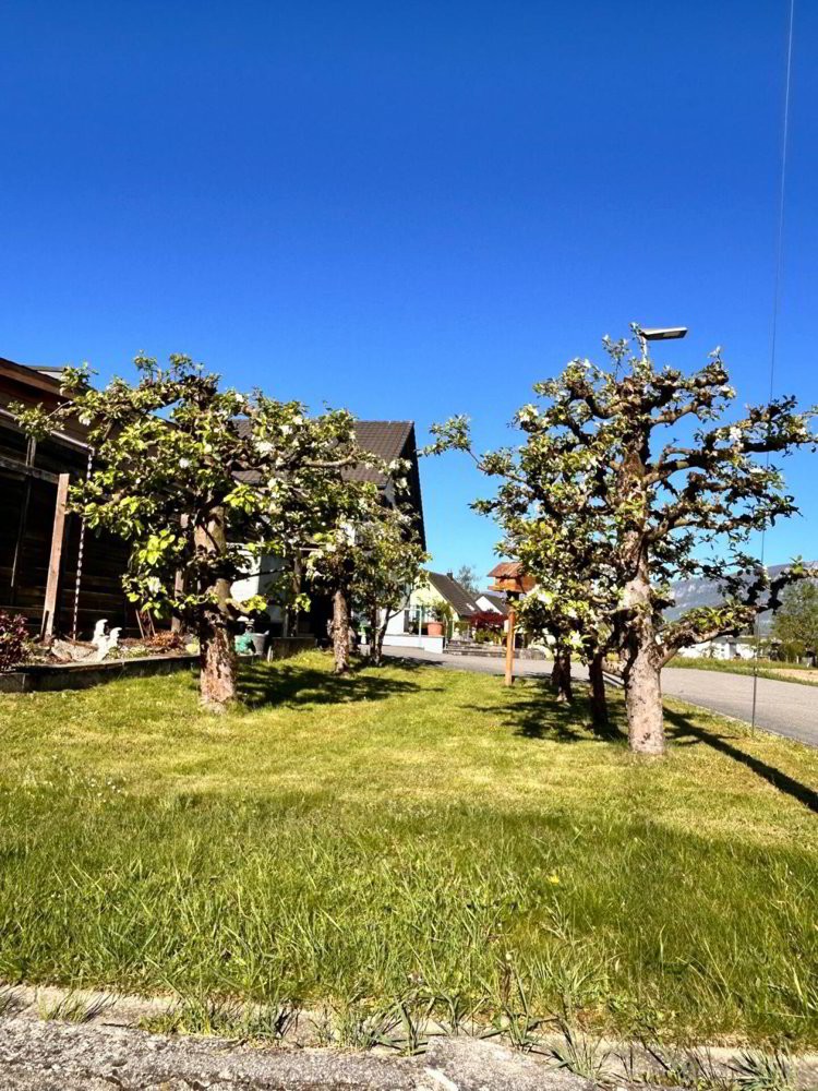 8.5 rooms House to buy in Deitingen - image 1/13