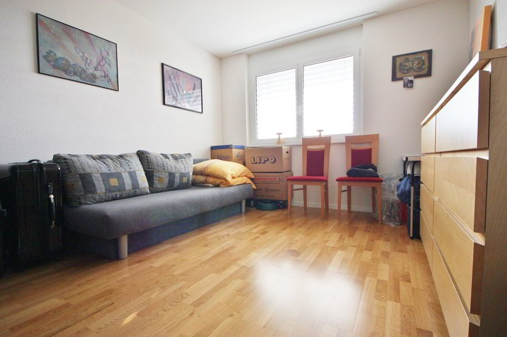 Appartement 4.5 pièces à acheter à Birrhard - image 1/13