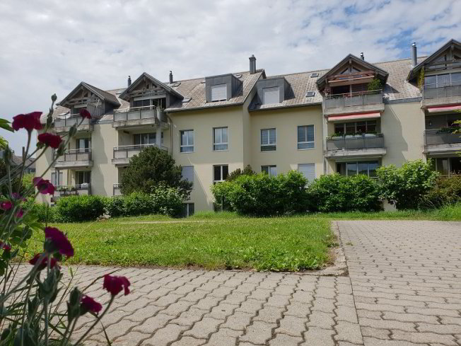 3 Zimmer Wohnung zu vermieten in Murten - Bild 1/1
