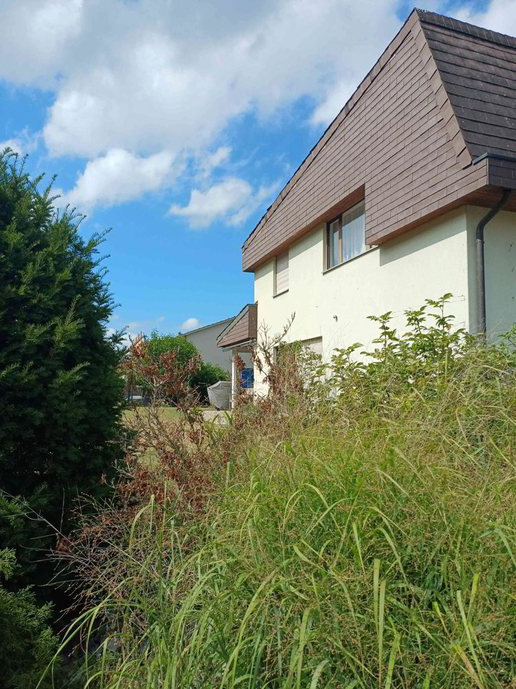 Haus – Witterswil - Ansicht 2
