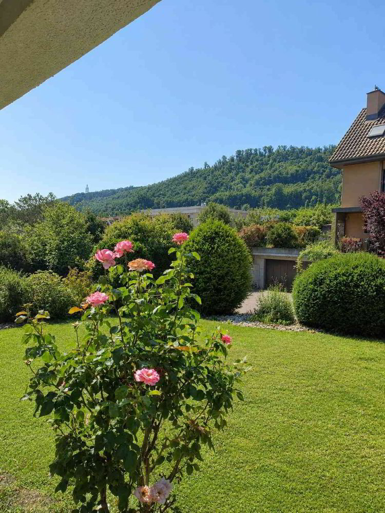 Haus – Witterswil - Ansicht 3