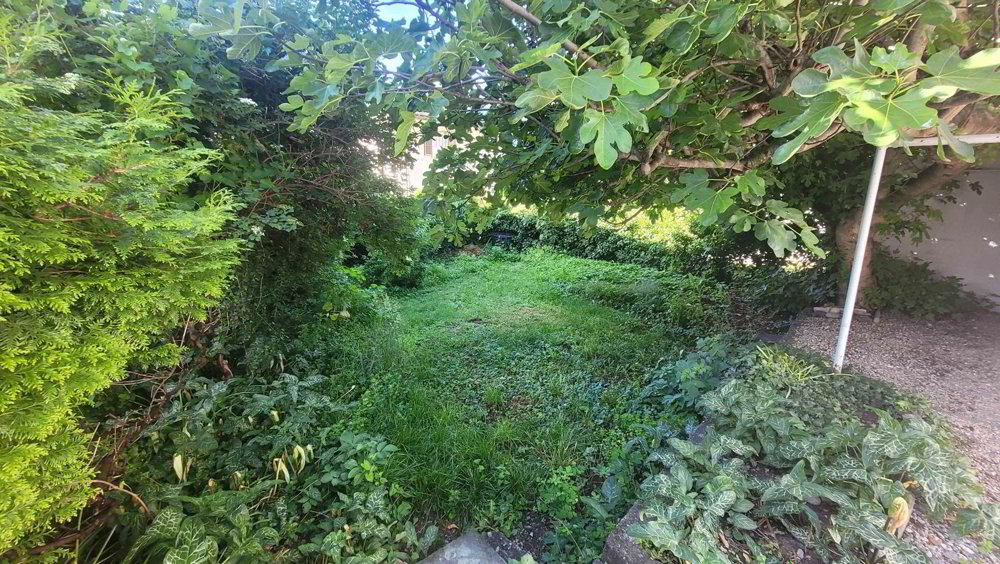 4 rooms House to buy in Sierre - image 1/11