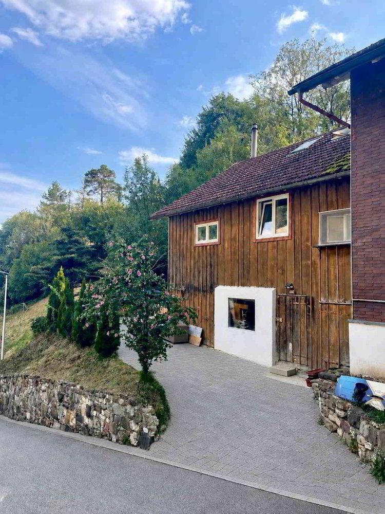 Maison 2 pièces à acheter à Sevelen - image 1/13