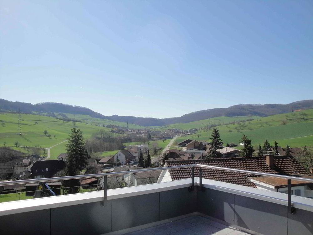 Maison 8 pièces à acheter à Dättwil AG - image 1/13