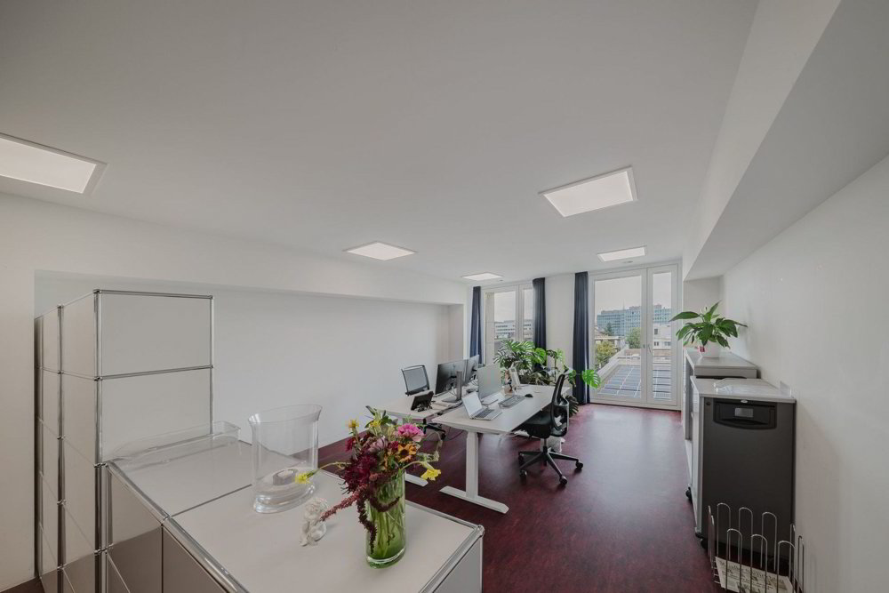 null rooms Office & Commercial for rent in Saint-Gall - image 1/13