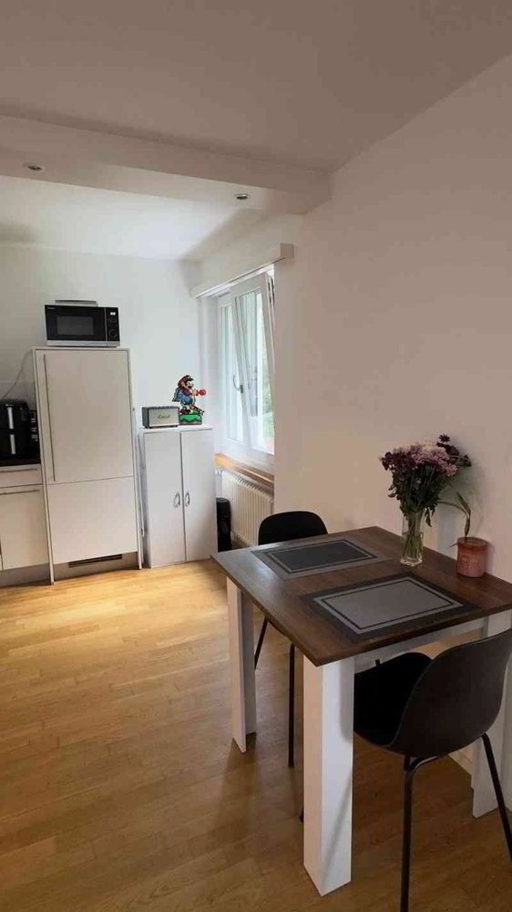 Appartamento di 1.5 locali in affitto a Zollikerberg - immagine 1/9