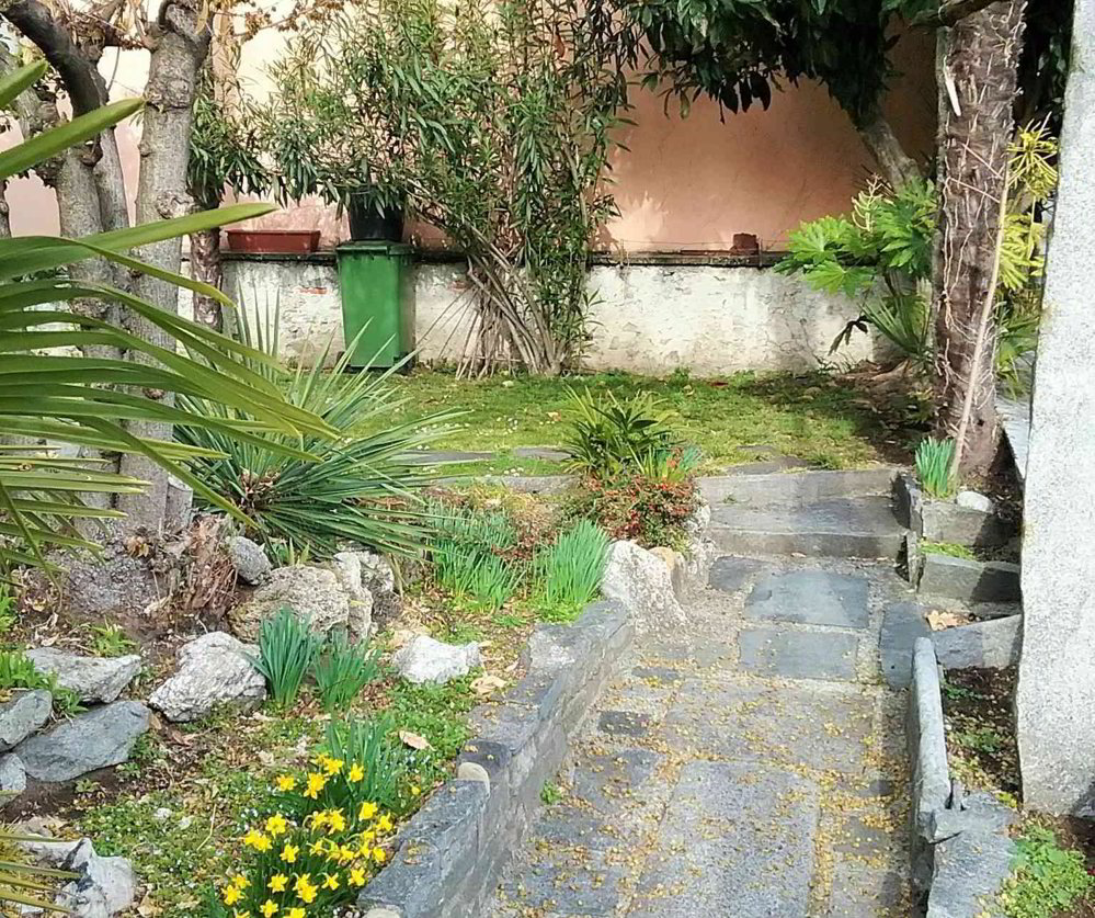 Appartamento di 4 locali in affitto a Muralto - immagine 1/13