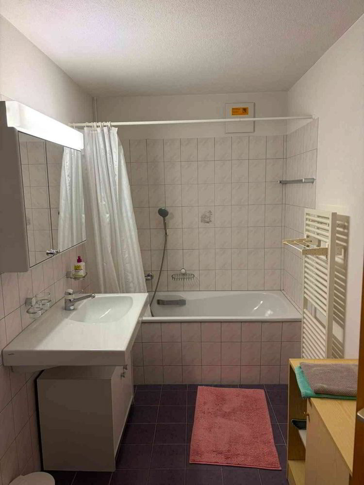 Appartamento di 2 locali in affitto a St. Antönien - immagine 1/6